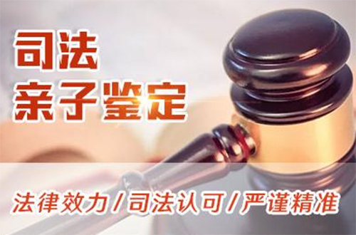 金昌司法亲子鉴定程序是什么,金昌司法亲子鉴定准确性高吗